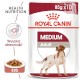 ROYAL CANIN Medium Adult w sosie 140g