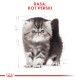 ROYAL CANIN PERSIAN Kitten 400g