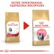 ROYAL CANIN PERSIAN Kitten 400g