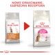 ROYAL CANIN Exigent Protein Preference 2kg