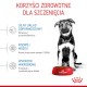 ROYAL CANIN Maxi Puppy 1kg