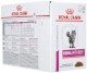 ROYAL CANIN VET RENAL Feline Beef WOŁOWINA 12x85g