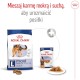 ROYAL CANIN Maxi Adult = PROMOCJA = L 15kg