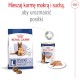 ROYAL CANIN Maxi Ageing 8+ L 15kg