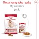 ROYAL CANIN Medium Adult 7+ M 15kg