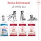 ROYAL CANIN Medium Ageing 10+ M 15kg