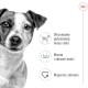 ROYAL CANIN Mini Adult S 8+1kg