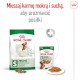 ROYAL CANIN Mini Adult S 8kg + 1kg