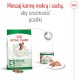 ROYAL CANIN Mini Adult S 2kg