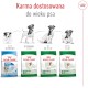 ROYAL CANIN Mini Adult 8+ S 8kg