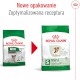 ROYAL CANIN Mini Ageing 12+ S 800g