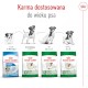 ROYAL CANIN Mini Ageing 12+ S 800g