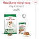 ROYAL CANIN Mini Ageing 12+ S 3,5kg