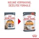 ROYAL CANIN Hair / Skin Care w sosie 85g