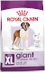 ROYAL CANIN Giant Adult = PROMOCJA = XL 15kg