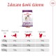 ROYAL CANIN Giant Adult = PROMOCJA = XL 15kg