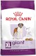 ROYAL CANIN Giant Adult = PROMOCJA = XL 15kg