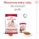 ROYAL CANIN Medium Adult M 4kg