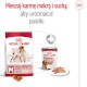 ROYAL CANIN Medium Adult M 4kg