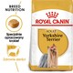 ROYAL CANIN Yorkshire Terrier Adult 7,5kg *PROMOCJA - TYLKO ODBIÓR W GŁÓWNYM MAGAZYNIE*