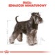 ROYAL CANIN Miniaturowy Schnauzer Adult 7,5kg *PROMOCJA - TYLKO ODBIÓR W GŁÓWNYM MAGAZYNIE*