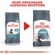 ROYAL CANIN Hairball Care 10kg *PROMOCJA - TYLKO ODBIÓR W GŁÓWNYM MAGAZYNIE*