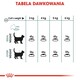 ROYAL CANIN Hairball Care 10kg *PROMOCJA - TYLKO ODBIÓR W GŁÓWNYM MAGAZYNIE*