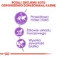 ROYAL CANIN Sterilised Feline 37 4kg *PROMOCJA - TYLKO ODBIÓR W GŁÓWNYM MAGAZYNIE*