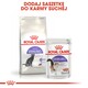 ROYAL CANIN Sterilised Feline 37 4kg *PROMOCJA - TYLKO ODBIÓR W GŁÓWNYM MAGAZYNIE*