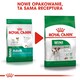 ROYAL CANIN Mini Adult 8kg *PROMOCJA - TYLKO ODBIÓR W GŁÓWNYM MAGAZYNIE*