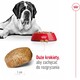 ROYAL CANIN Giant Adult XL 15kg *PROMOCJA - TYLKO ODBIÓR W GŁÓWNYM MAGAZYNIE*