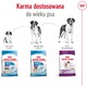 ROYAL CANIN Giant Adult XL 15kg *PROMOCJA - TYLKO ODBIÓR W GŁÓWNYM MAGAZYNIE*