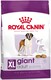 ROYAL CANIN Giant Adult XL 15kg *PROMOCJA - TYLKO ODBIÓR W GŁÓWNYM MAGAZYNIE*