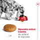 ROYAL CANIN Medium Adult M 15kg *PROMOCJA - TYLKO ODBIÓR W GŁÓWNYM MAGAZYNIE*