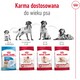 ROYAL CANIN Medium Adult M 15kg *PROMOCJA - TYLKO ODBIÓR W GŁÓWNYM MAGAZYNIE*