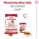 ROYAL CANIN Medium Adult M 15kg *PROMOCJA - TYLKO ODBIÓR W GŁÓWNYM MAGAZYNIE*