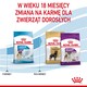 ROYAL CANIN Giant Junior 15kg *PROMOCJA - TYLKO ODBIÓR W GŁÓWNYM MAGAZYNIE*