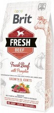 BRIT FRESH Beef Pumpkin Puppy Large Wołowina Dynia 2,5kg