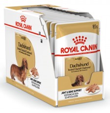 ROYAL CANIN Dachshund Jamnik Adult 12x85g saszetki