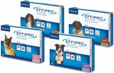 Virbac EFFIPRO Spot-On S Pies 2-10kg Krople na kleszcze 1szt.