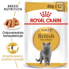 ROYAL CANIN British Shorthair Adult w sosie 85g