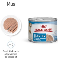 ROYAL CANIN Starter Mother / Babydog Mousse 12x195g