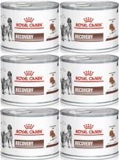 ROYAL CANIN VET RECOVERY Canine Feline 6x195g