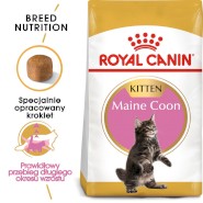 ROYAL CANIN Maine Coon Kitten 4kg