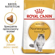 ROYAL CANIN NORWEGIAN FOREST CAT Adult 10kg
