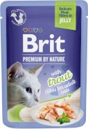 BRIT Premium Cat Fillets in Jelly Trout PSTRĄG galaretka 85g