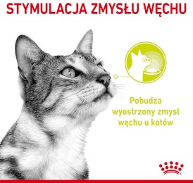 ROYAL CANIN Sensory Multipack w sosie 12x85g - Zdjęcie nr 4