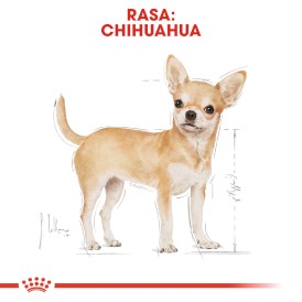 ROYAL CANIN Chihuahua Adult 85g - Zdjęcie nr 3