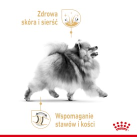 ROYAL CANIN Pomeranian Adult 85g - Zdjęcie nr 3