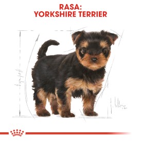 ROYAL CANIN Yorkshire Terrier Puppy 1,5kg - Zdjęcie nr 3